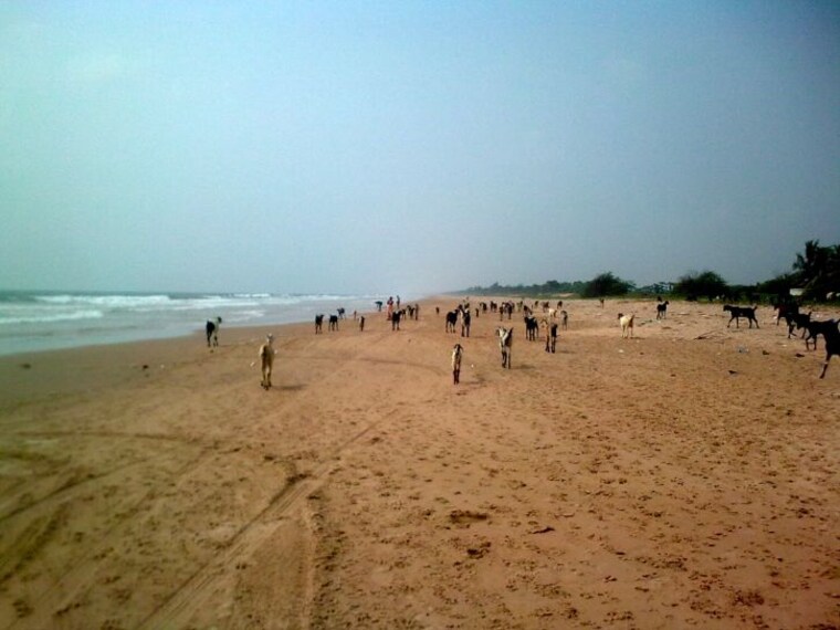 Vodarevu Beach-4